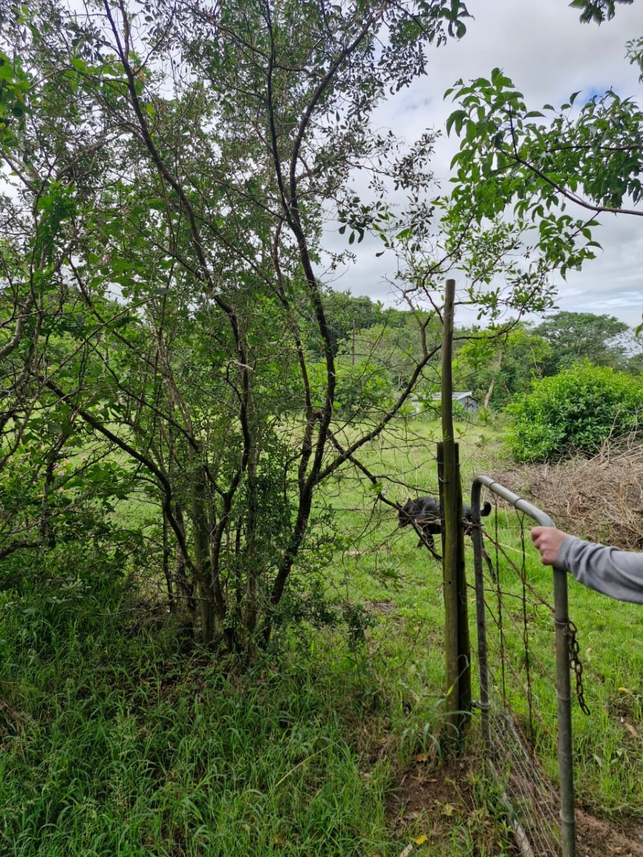3 Bedroom Property for Sale in Bathurst Eastern Cape